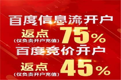 提升关键词竞价排名转化率：经典案例解析